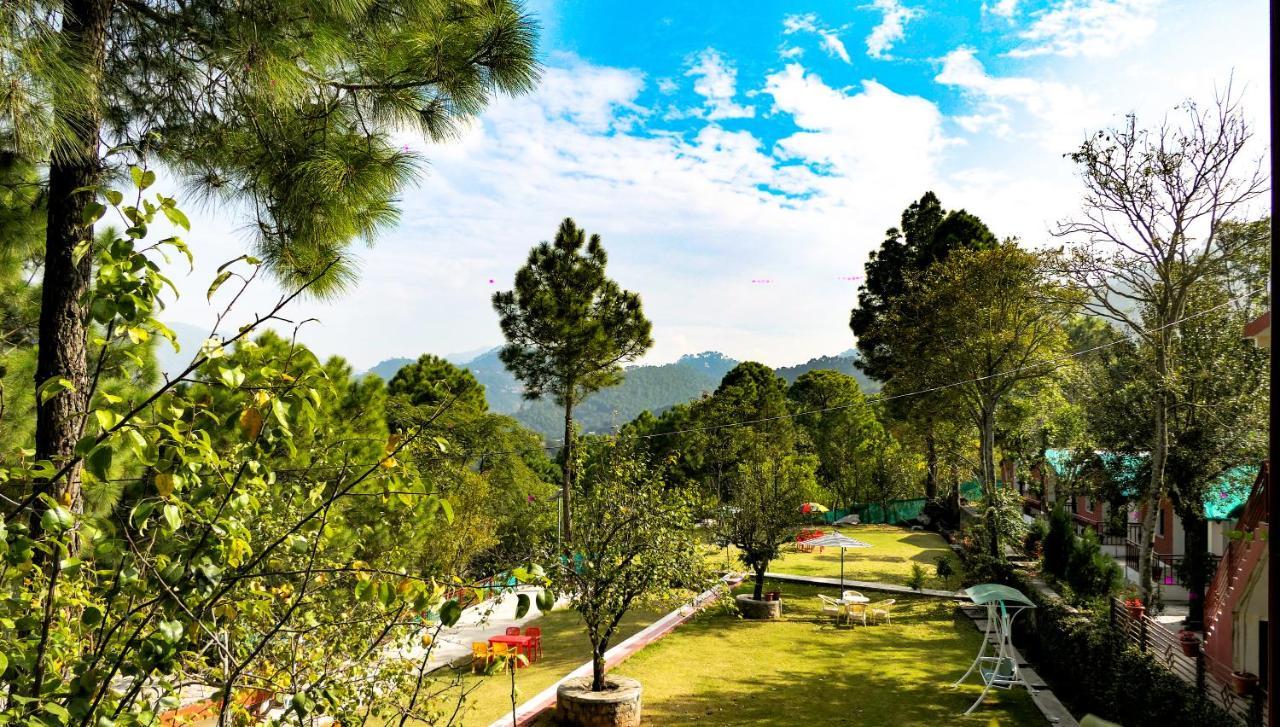 Kasauli Nature Inn エクステリア 写真